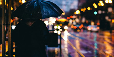 帕尔梅拉斯赛前训练公开，备战世俱杯冲刺